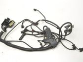 Other wiring loom