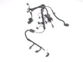 Other wiring loom