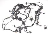 Other wiring loom