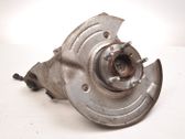 Rear wheel hub spindle/knuckle