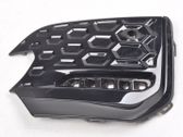 Front bumper lower grill