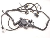 Other wiring loom
