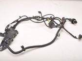 Other wiring loom