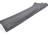 (A) pillar trim