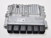 Engine control unit/module ECU