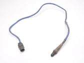 Lambda probe sensor