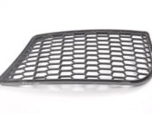 Grille inférieure de pare-chocs avant