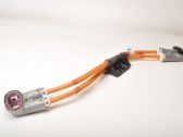 Other wiring loom