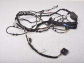 Other wiring loom