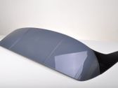 Tailgate/trunk spoiler