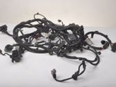 Other wiring loom