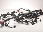 Other wiring loom