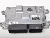 Engine control unit/module ECU