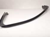 Front door trim (molding)