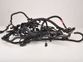 Other wiring loom