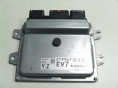 Engine control unit/module ECU