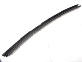 Rear door trim (molding)