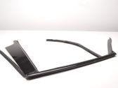 Rear door trim (molding)