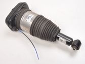 Rear shock absorber/damper