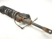 Front shock absorber/damper