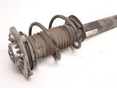 Front shock absorber/damper