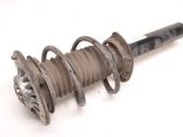 Front shock absorber/damper