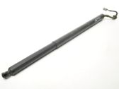 Tailgate strut