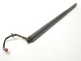 Tailgate strut
