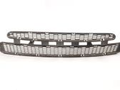 Front bumper lower grill