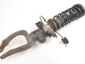 Front shock absorber/damper