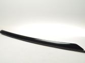 Windshield trim
