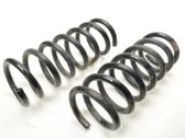 Rear coil spring