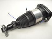 Rear shock absorber/damper