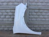 Fender