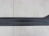 Front door trim (molding)