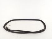 Rear door rubber seal (on body)