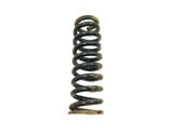 Front coil spring