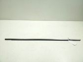 Listón embellecedor de la puerta delantera (moldura)