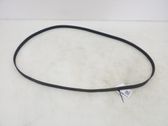 Alternator belt