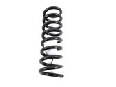 Rear coil spring