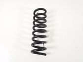 Rear coil spring