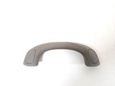 Front interior roof grab handle