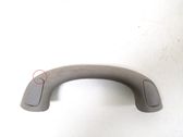 Front interior roof grab handle