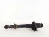 Rear shock absorber/damper