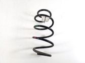 Front coil spring