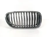 Front grill