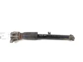 Rear shock absorber/damper