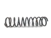 Front coil spring