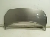 Engine bonnet/hood