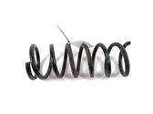 Front coil spring